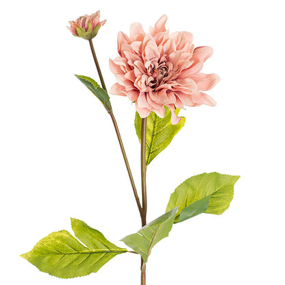 Dahlia Stem Blush Pink (53cmH)