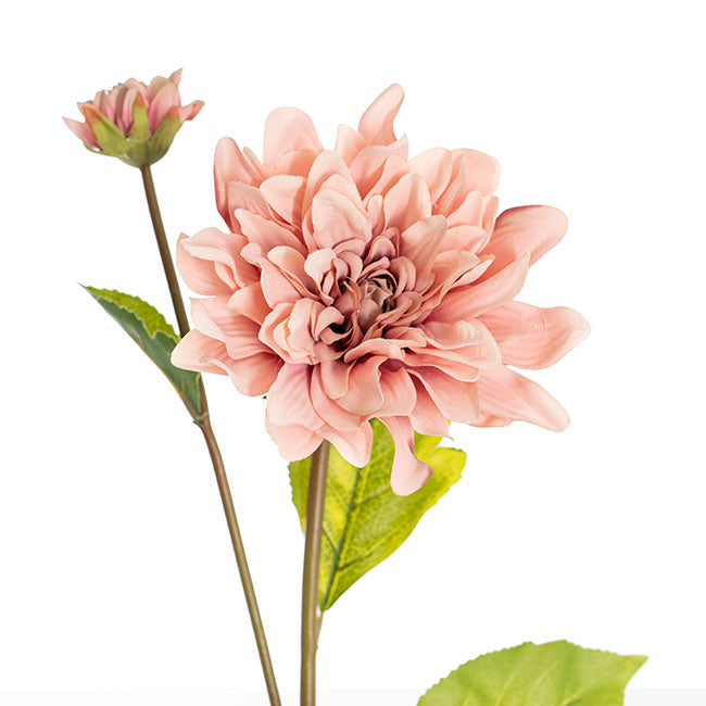 Dahlia Stem Blush Pink (53cmH)