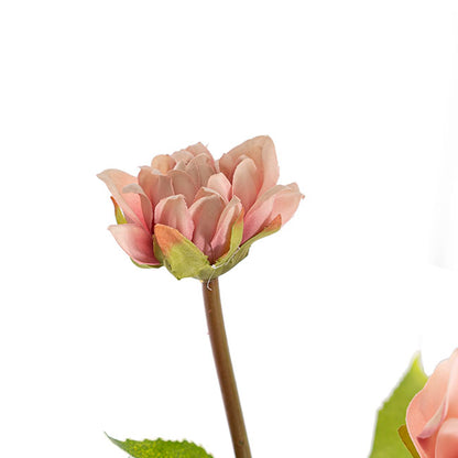 Dahlia Stem Blush Pink (53cmH)