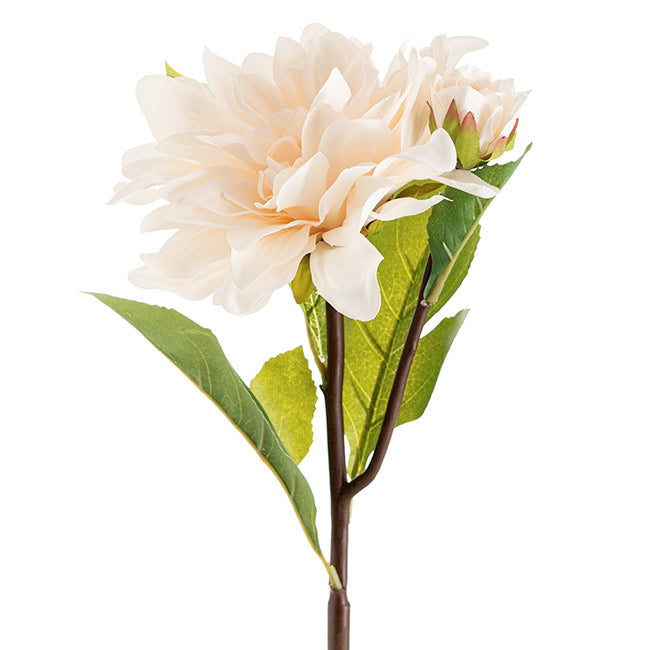 Dahlia Stem White (53cmH)