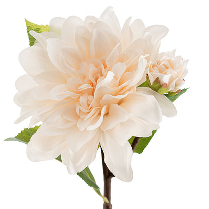 Dahlia Stem White (53cmH)