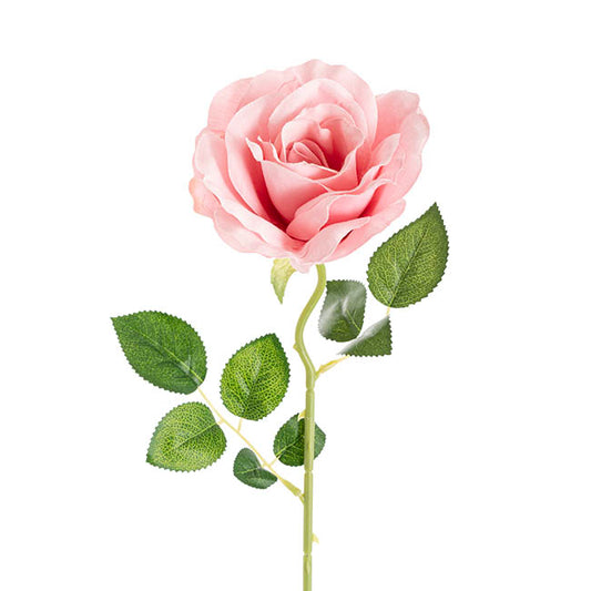 Sophie Open Rose Stem Dusty Pink (11.5cmDx51cmH)