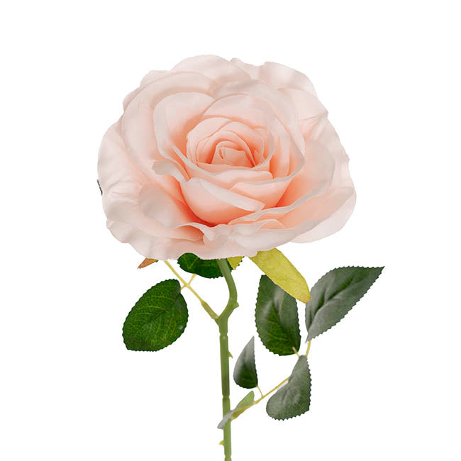 Sophie Open Rose Stem Pale Pink (11.5cmDx51cmH)