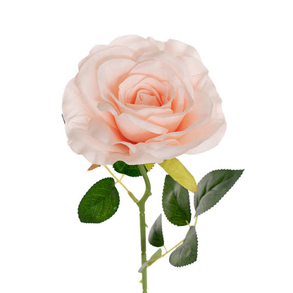 Sophie Open Rose Stem Pale Pink (11.5cmDx51cmH)