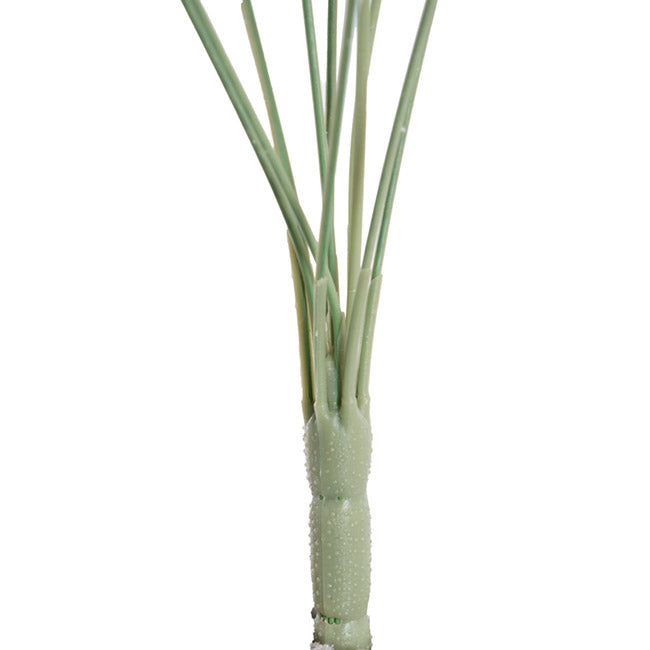 Blooming Garden Rose 11 Head Bouquet White (51cmH)