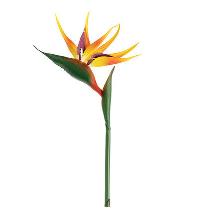 Bird of Paradise Real Touch Orange (89cmH)