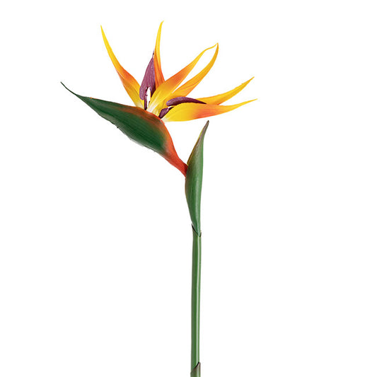 Bird of Paradise Real Touch Orange (89cmH)