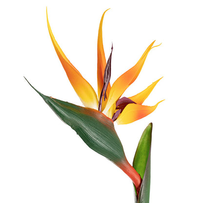 Bird of Paradise Real Touch Orange (89cmH)
