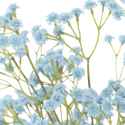Gypsophila Baby's Breath Bunch x 3 Soft Blue (62cmH)