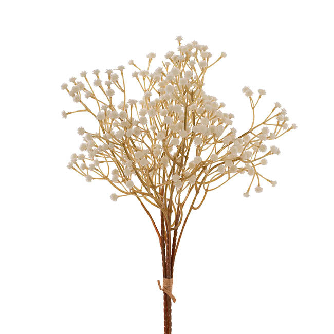 Gypsophila Baby's Breath Bunch x 3 Champagne (62cmH)