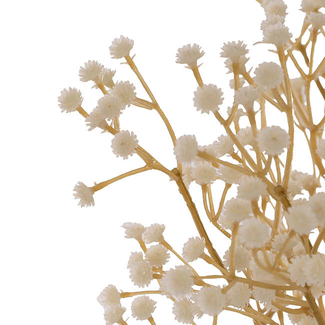 Gypsophila Baby's Breath Bunch x 3 Champagne (62cmH)