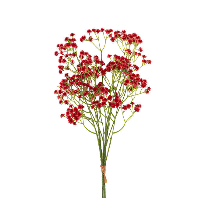 Gypsophila Baby's Breath Bunch x 3 Romantic Red (62cmH)