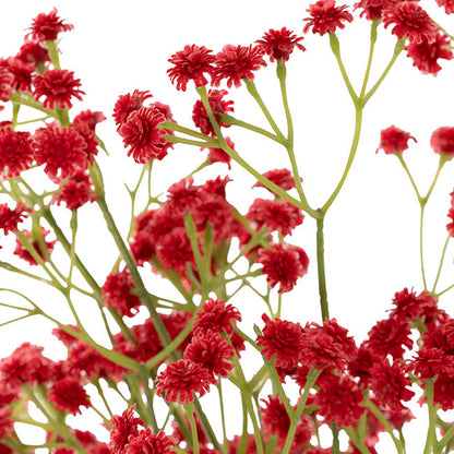 Gypsophila Baby's Breath Bunch x 3 Romantic Red (62cmH)