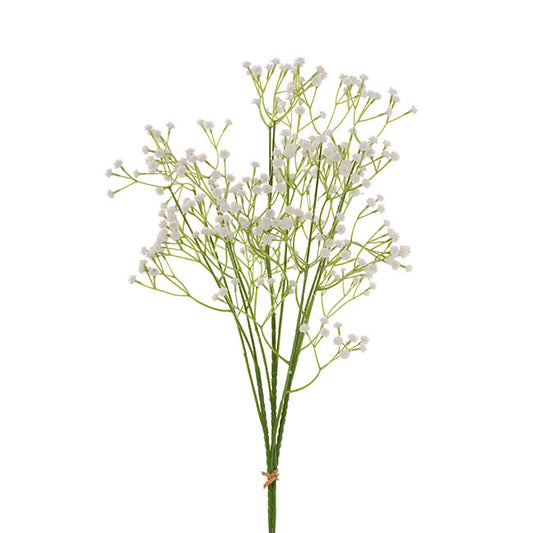 Gypsophila Baby's Breath Bunch x 3 White (62cmH)