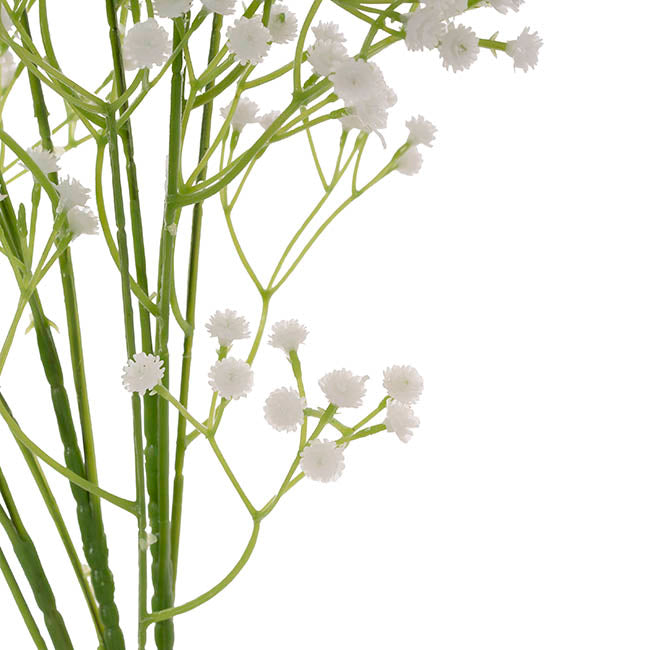 Gypsophila Baby's Breath Bunch x 3 White (62cmH)