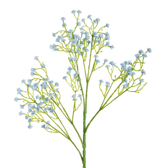 Gypsophila Baby's Breath Spray Soft Blue (62cmH)