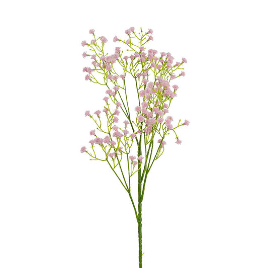 Gypsophila Baby's Breath Spray Soft Pink (62cmH)
