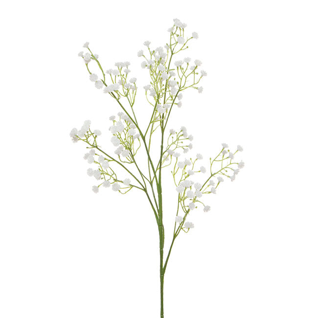 Gypsophila Baby's Breath Spray White (62cmH)