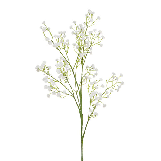 Gypsophila Baby's Breath Spray White (62cmH)