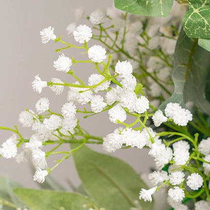Gypsophila Baby's Breath Spray White (62cmH)