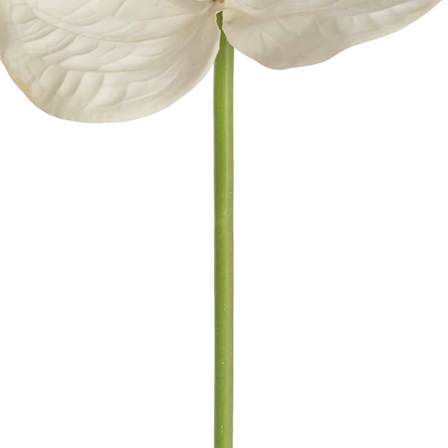 Anthurium Real Touch Large Cream (70cmH)