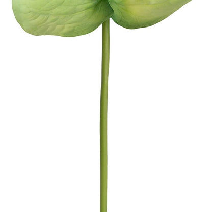 Anthurium Real Touch Large Green (70cmH)