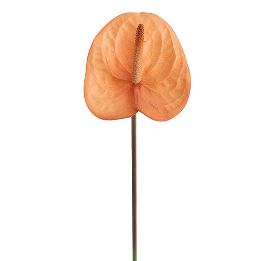 Real Touch Anthurium Caramel Beige (63cmH)