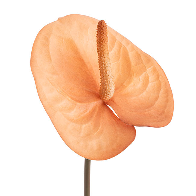 Real Touch Anthurium Caramel Beige (63cmH)