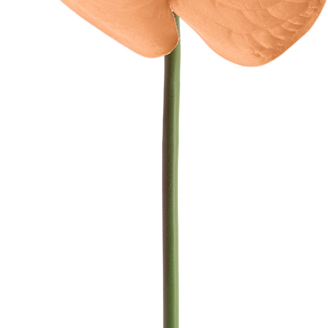 Real Touch Anthurium Caramel Beige (63cmH)