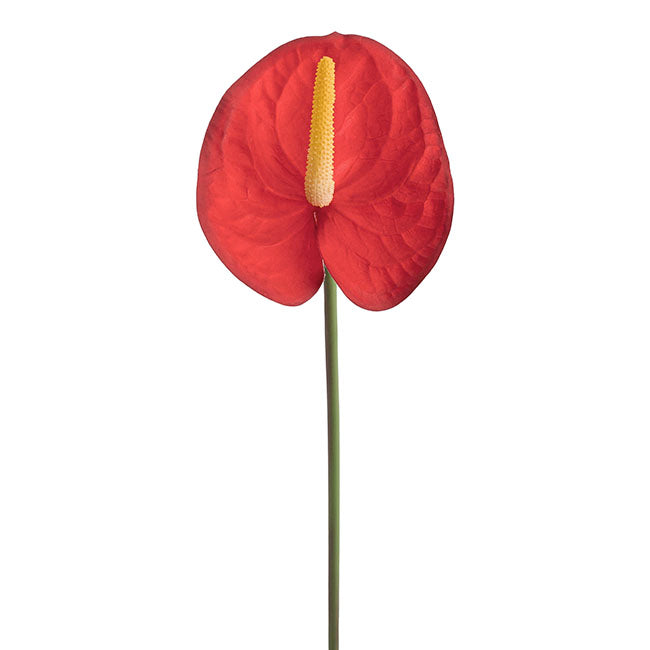 Real Touch Anthurium Red (63cmH)