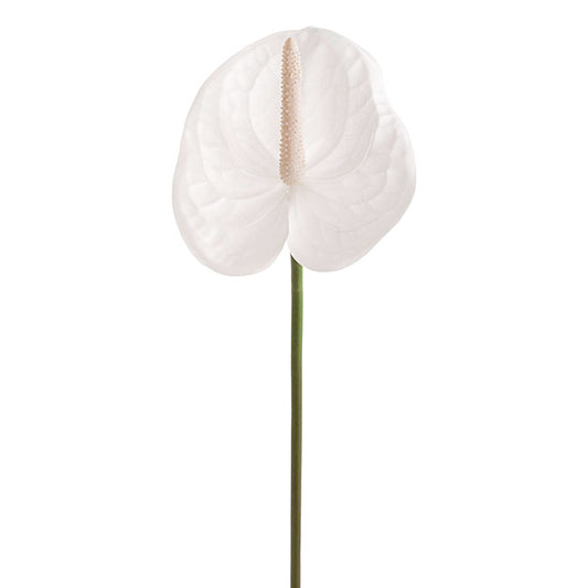 Real Touch Anthurium White (63cmH)