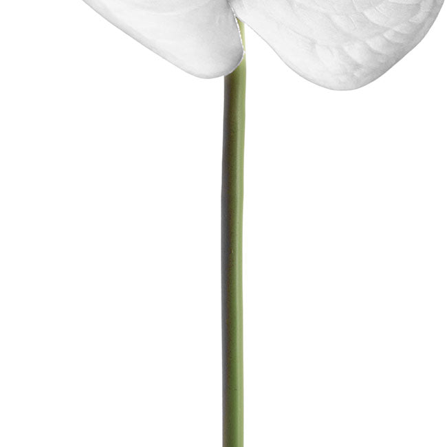 Real Touch Anthurium White (63cmH)