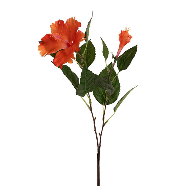 Hibiscus Flower x 2 Head Spray Peachy Orange (11cmDx61cmH)