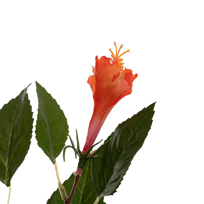 Hibiscus Flower x 2 Head Spray Peachy Orange (11cmDx61cmH)