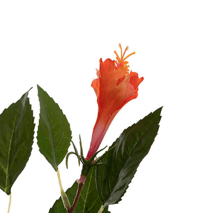 Hibiscus Flower x 2 Head Spray Peachy Orange (11cmDx61cmH)