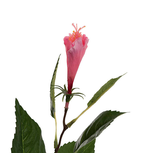 Hibiscus Flower x 2 Head Spray Pink (11cmDx61cmH)
