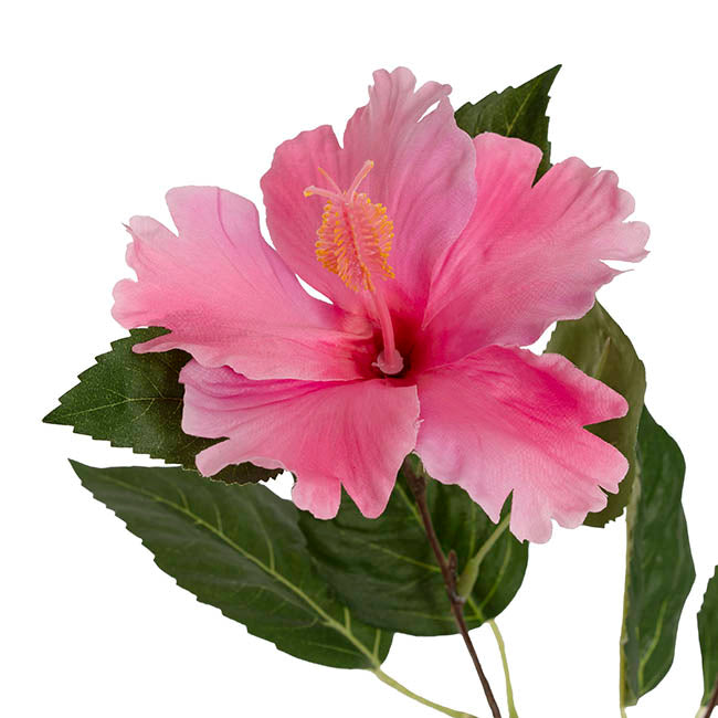 Hibiscus Flower x 2 Head Spray Pink (11cmDx61cmH)