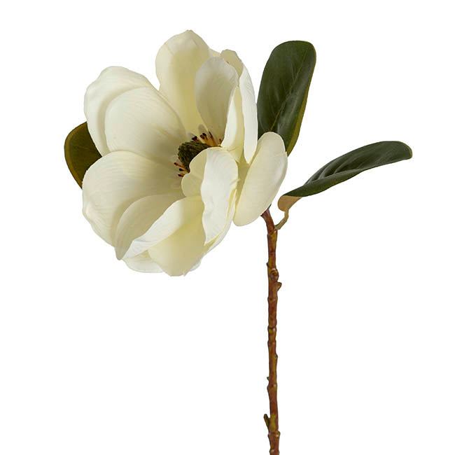 Magnolia Flower Stem White (52cmH)