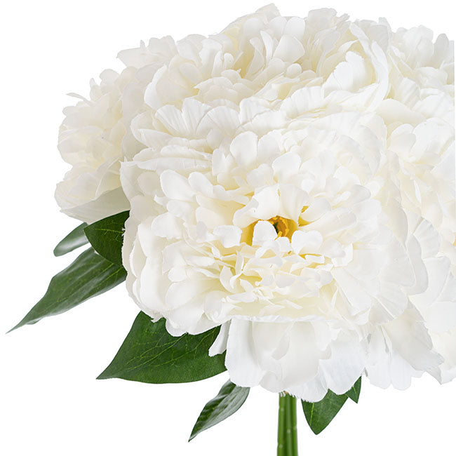 Peony Bouquet x 5 Flower Heads White (32cmH)