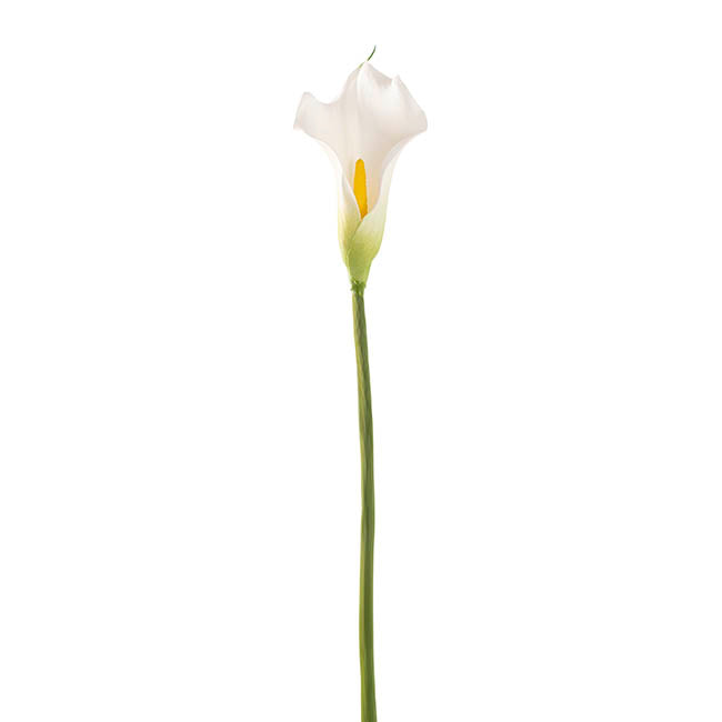 Real Touch Calla Lily White (8cmWx61cmH)