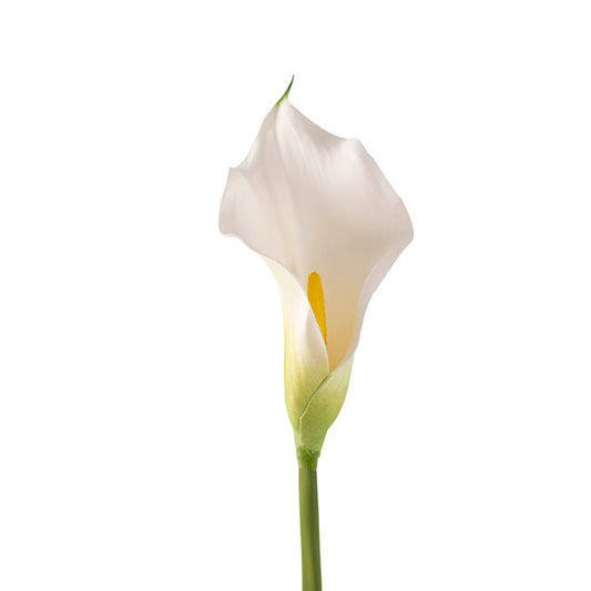 Real Touch Calla Lily White (8cmWx61cmH)
