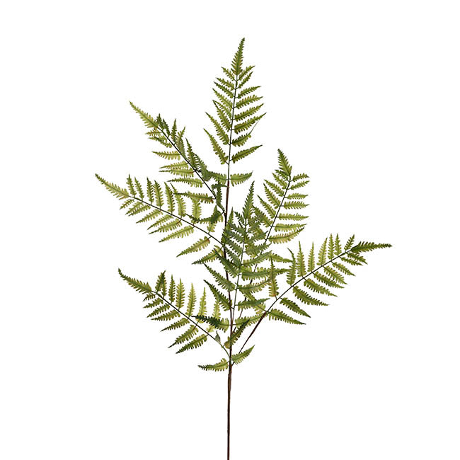 Shield Fern Spray Green (90cmH)
