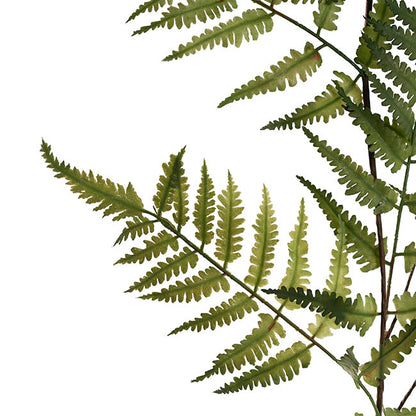 Shield Fern Spray Green (90cmH)