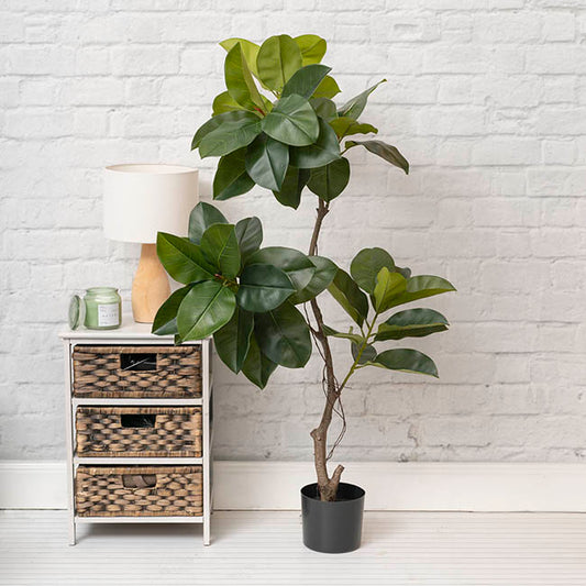 Real Touch Rubber Tree Green (150cmH)