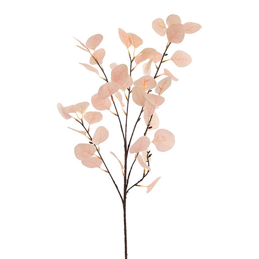 Frosted Eucalyptus Spray Soft Champagne (90cmH)