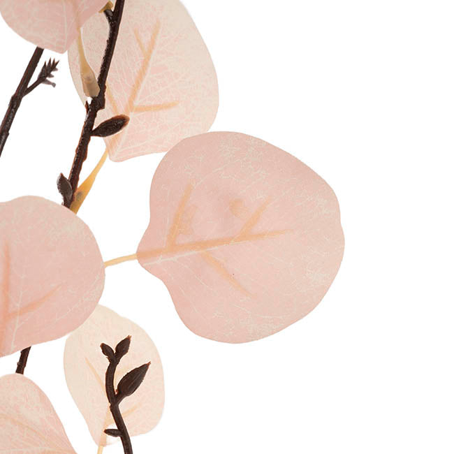 Frosted Eucalyptus Spray Soft Champagne (90cmH)