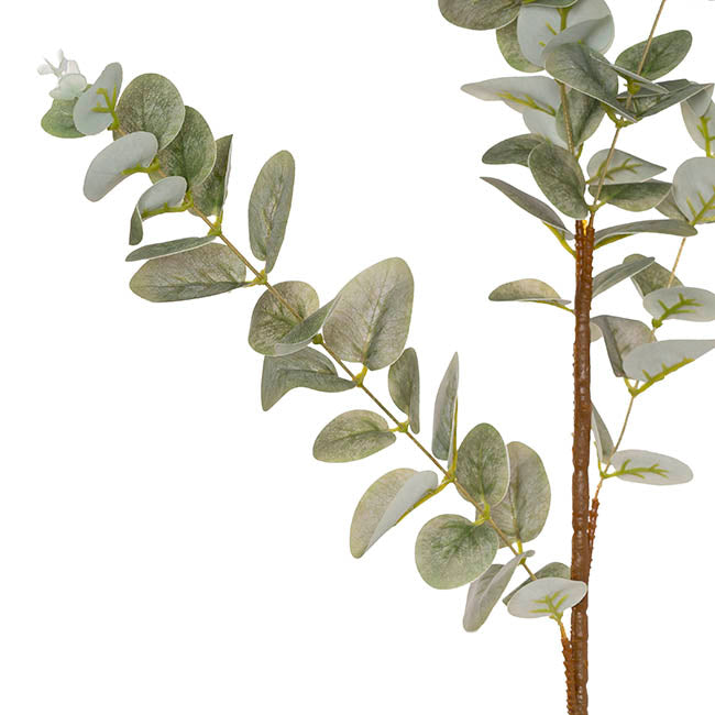 Eucalyptus Spray Real Touch Soft Green (92cmH)