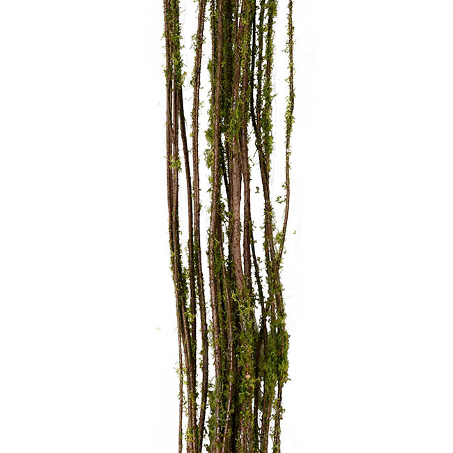 Wicker Vine Garland Green (150cmL)