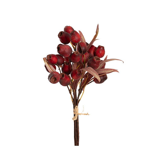 Native Gumnut Bunch Dark Red (41cmH)