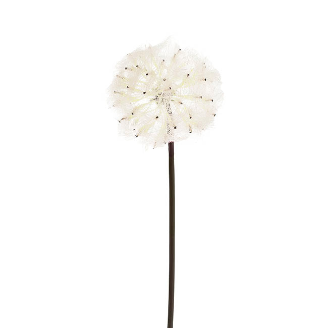 Large Dandelion Stem Soft Beige (12cmDx69cmH)